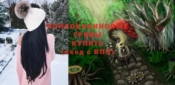 спиды Нефтегорск