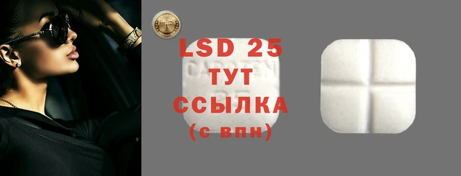 винт Нея