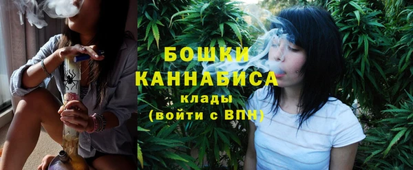 винт Нея