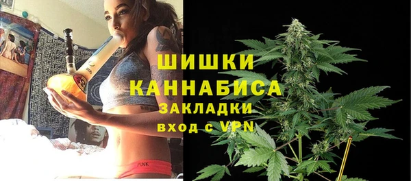 винт Нея