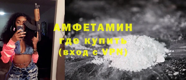 спайс Аша