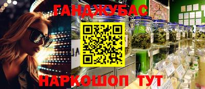 прущие грибы Заводоуковск