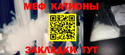 прущие грибы Заводоуковск